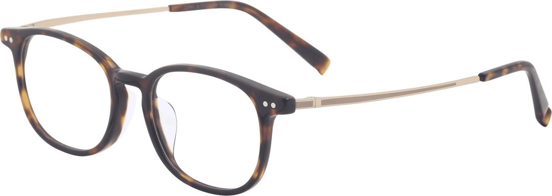 ZT6G004A-C10 ZA High Prescription Collection ZT6G004A - Image 1