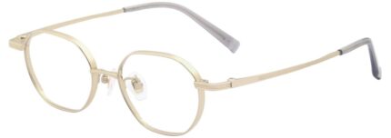 ZA High Prescription Collection ZT6G011A — C2