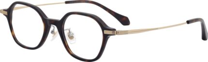 ZA High Prescription Collection ZT6G018 — C10